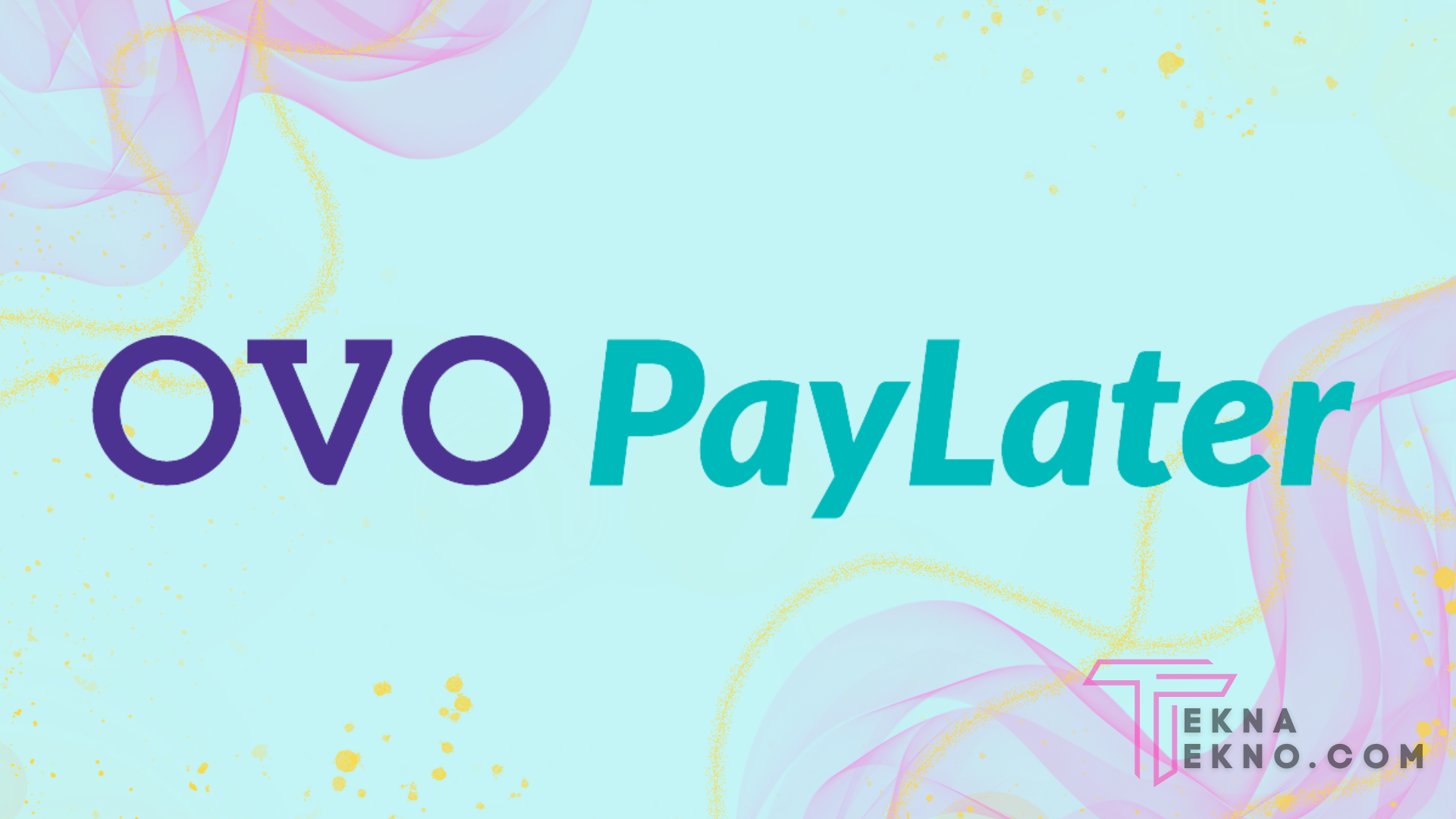 Manfaat Menggunakan OVO PayLater