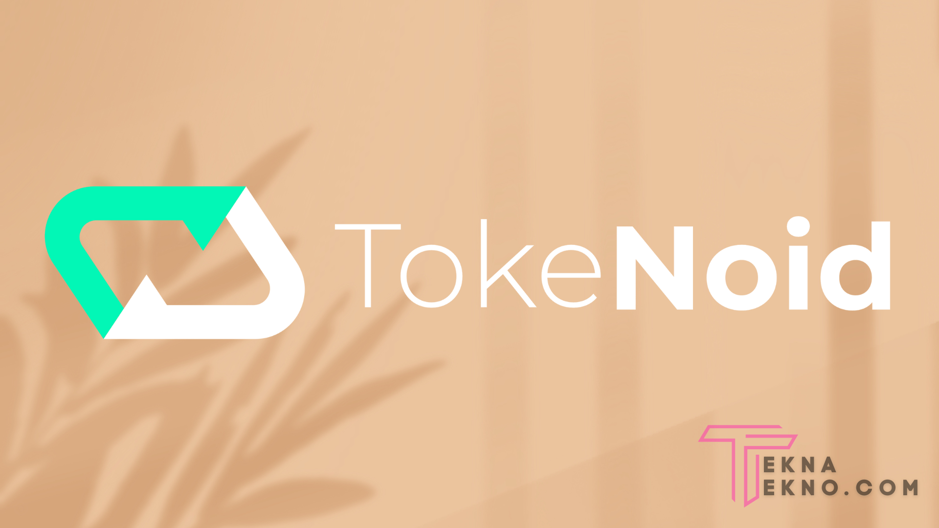 Transaksi Tokenoid (NOID) Crypto