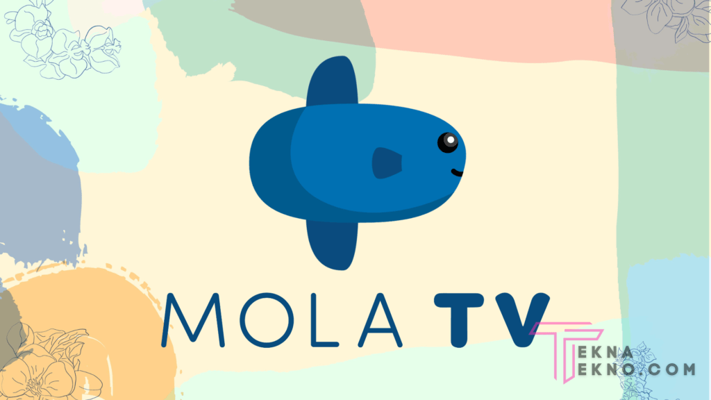 FAQ Seputar Mola TV