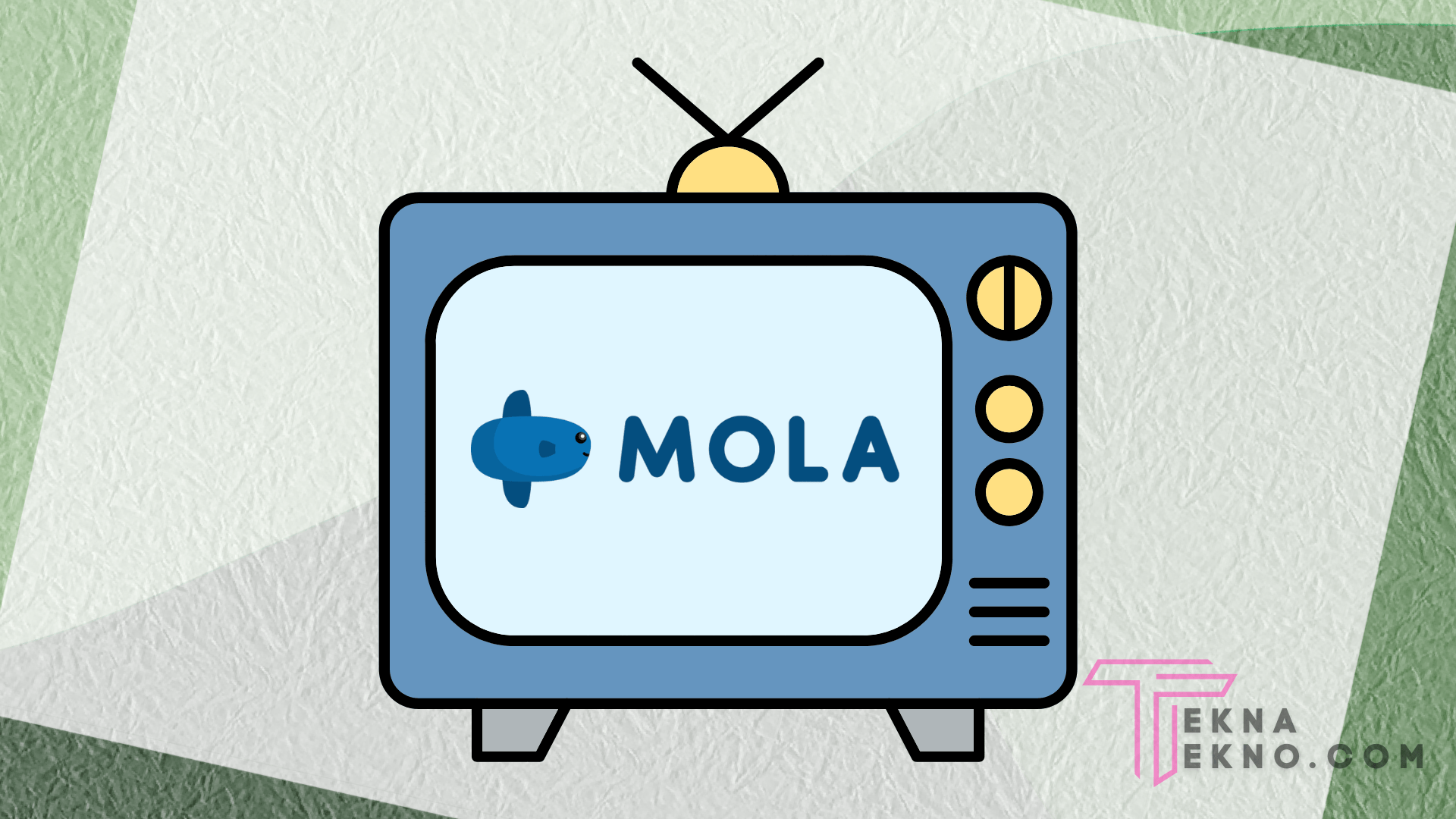 FAQ Manfaat Dari Berlangganan Platform Hiburan Mola TV