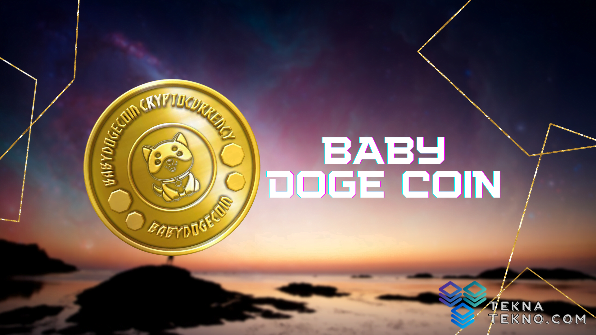 Apa itu Baby Doge Coin