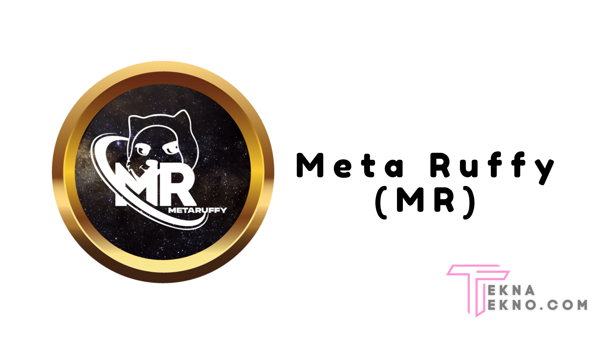 Mengenal Meta Ruffy (MR)