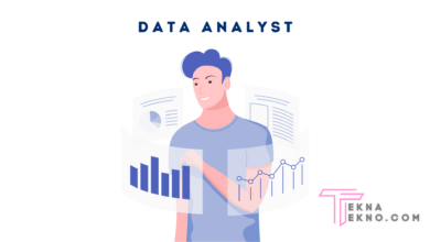 Profesi Data Analyst: Tugas Dan Skill Yang Harus Dimiliki