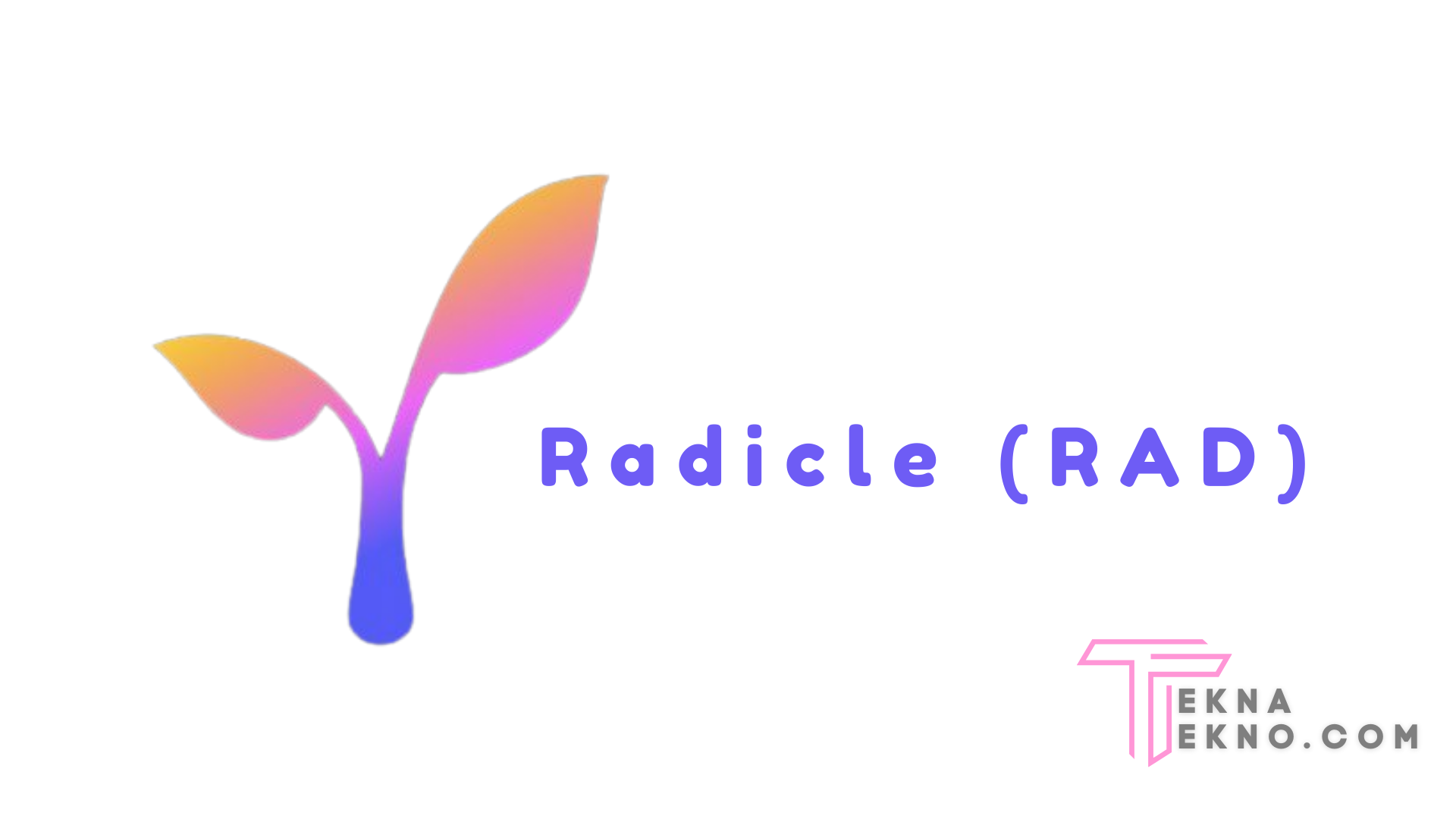 Mengenal Radicle (RAD)