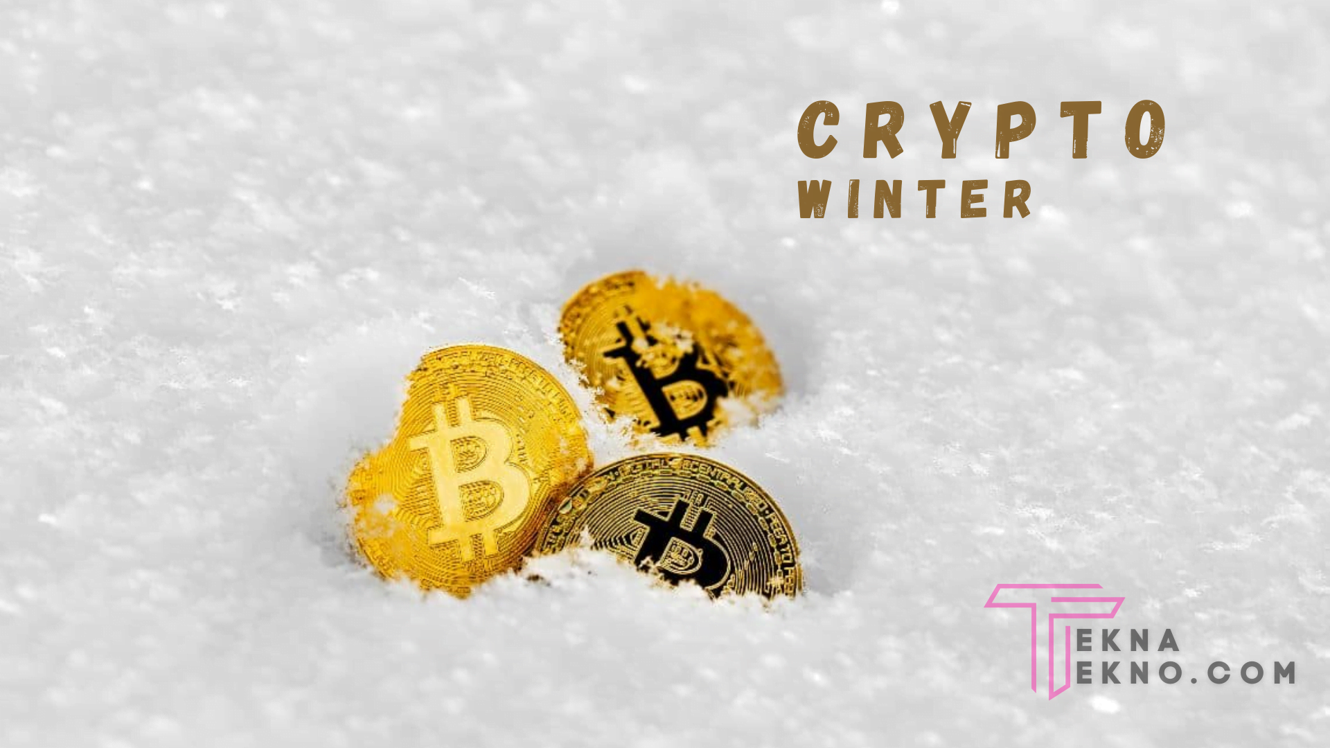 Mengenal Apa itu Crypto Winter