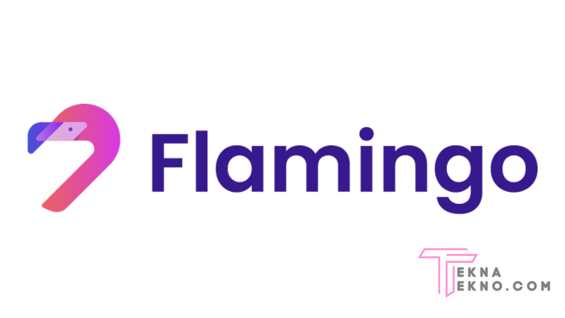 Mengenal Apa itu Flamingo (FLM)